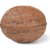 Walnut closeup stock photo © vapi