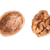Walnut and shell stock photo © vapi