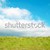 Green landscape with clouds. stock photo © vapi
