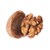 Walnut and shell stock photo © vapi