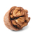 Walnut and shell stock photo © vapi
