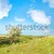 Green landscape with clouds. stock photo © vapi