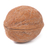 Walnut closeup stock photo © vapi