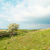 Green landscape with clouds. stock photo © vapi