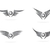 wing art stock photo © vector1st