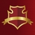 art shield stock photo © vector1st