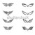 wing art stock photo © vector1st