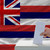 Mann · Abstimmung · Wahlen · Flagge · Hawaii · Stimmzettel - stock foto © vepar5