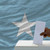 Mann · Abstimmung · Wahlen · Flagge · Somalia · Stimmzettel - stock foto © vepar5