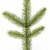 Pine tree branch stock photo © vtorous