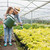 jardinero · ayudar · plantas · invernadero · nina - foto stock © wavebreak_media