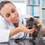 dierenarts · kitten · stethoscoop · vrouwelijke · kliniek · vrouw - stockfoto © wavebreak_media