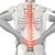 Digital composite of highlighted spine of man with back pain stock photo © wavebreak_media