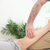 Physiotherapist pressing a leg with his fingers in a room stock photo © wavebreak_media
