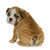 bonitinho · cachorro · inglês · buldogue · olhando · ombro - foto stock © willeecole