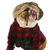 vadászkutya · angol · bulldog · dohányzás · szivar · visel - stock fotó © willeecole