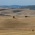 The landscape of the  Tuscany. Italy stock photo © wjarek