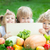 crianças · piquenique · grupo · feliz · frutas · legumes - foto stock © Yaruta