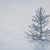 argento · albero · di · natale · decorazione · neve · effettivo · esterna - foto d'archivio © Yaruta