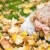portré · gyermek · ősz · gyönyörű · citromsárga · juhar - stock fotó © Yaruta