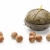 Hazelnuts and Candle, isolated on white background stock photo © zeffss