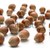 Hazelnuts stock photo © zeffss